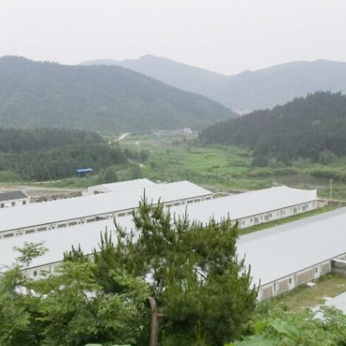 養豬場4基地倉庫深圳市香蕉视频软件下载安装農產品實業有限公司