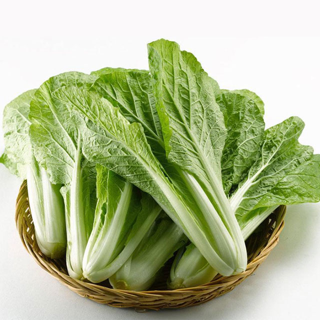 小白菜配送香蕉视频APP黄色深圳市香蕉视频软件下载安装農產品實業有限公司