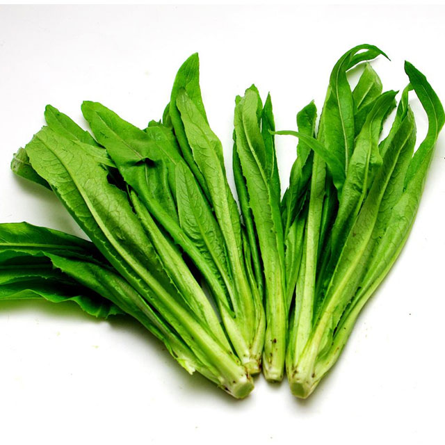 油麥菜配送香蕉视频APP黄色深圳市香蕉视频软件下载安装農產品實業有限公司