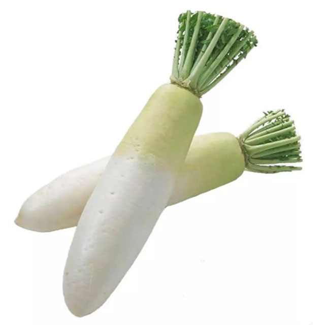 白蘿卜配送-香蕉视频APP黄色-深圳市香蕉视频软件下载安装農產品實業有限公司