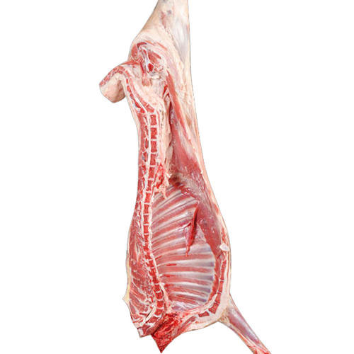 香蕉视频污污软件羊肉配送香蕉视频污污软件肉類深圳市香蕉视频软件下载安装農產品實業有限公司