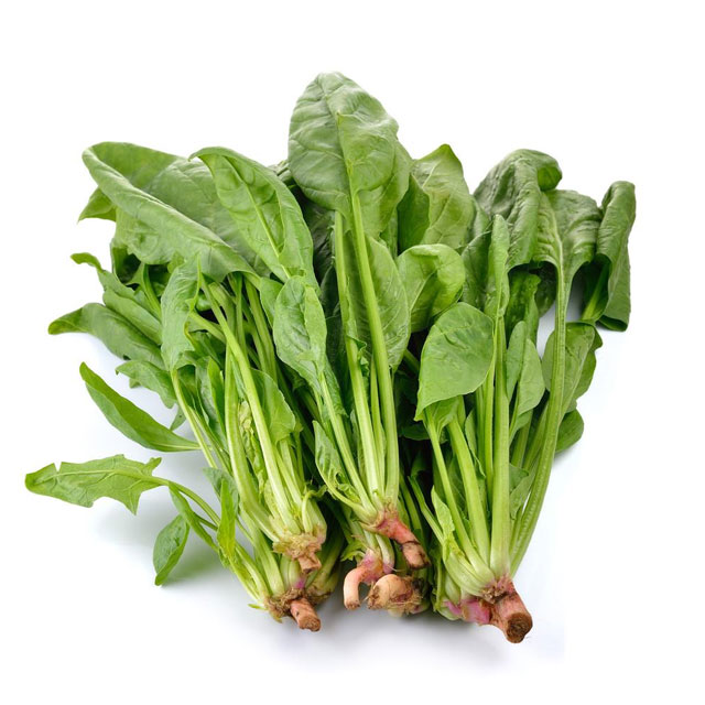 菠菜配送-香蕉视频APP黄色-深圳市香蕉视频软件下载安装農產品實業有限公司