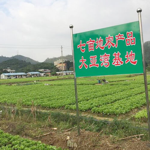 種植基地4種植基地深圳市香蕉视频软件下载安装農產品實業有限公司