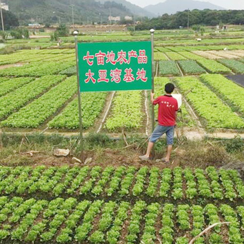 種植基地2種植基地深圳市香蕉视频软件下载安装農產品實業有限公司